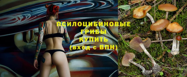 дурь Алзамай