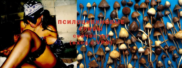 круглые Алексин