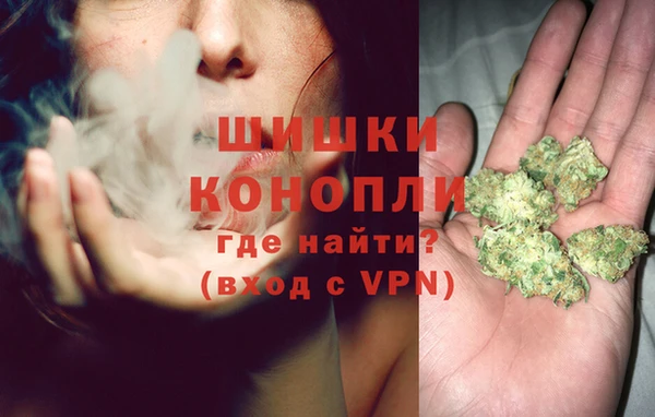 дурь Алзамай