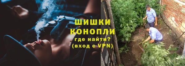 дурь Алзамай