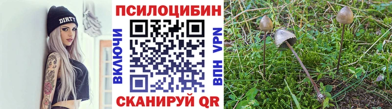 Псилоцибиновые грибы мухоморы  Вихоревка 